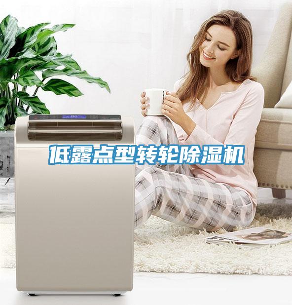 低露點(diǎn)型轉(zhuǎn)輪除濕機(jī)