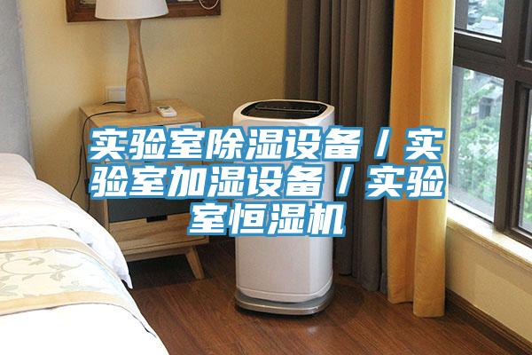 實驗室除濕設(shè)備／實驗室加濕設(shè)備／實驗室恒濕機
