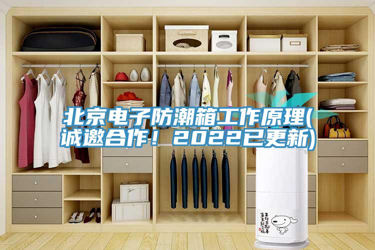北京電子防潮箱工作原理(誠邀合作！2022已更新)
