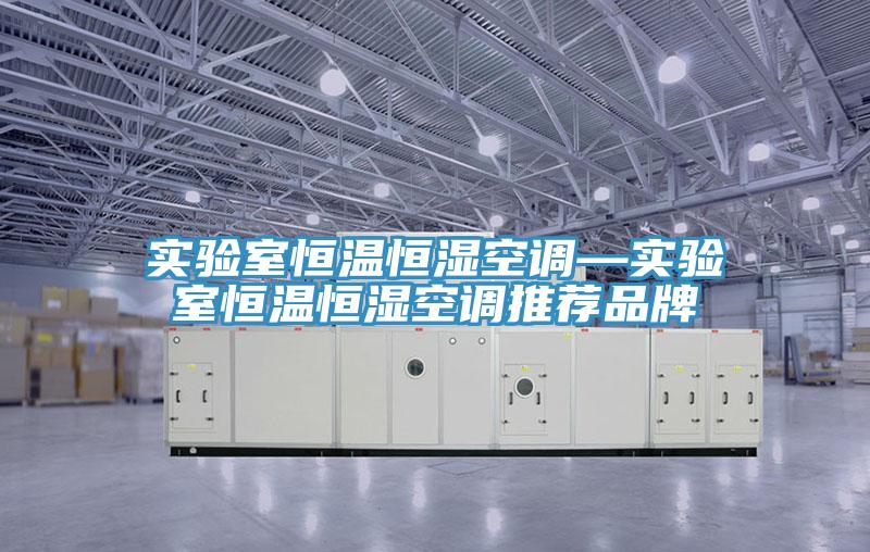 實(shí)驗(yàn)室恒溫恒濕空調(diào)—實(shí)驗(yàn)室恒溫恒濕空調(diào)推薦品牌