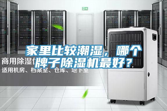 家里比較潮濕，哪個牌子除濕機(jī)最好？