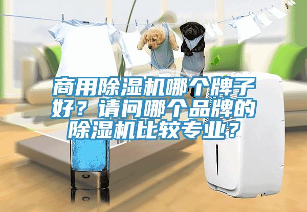 商用除濕機哪個牌子好？請問哪個品牌的除濕機比較專業(yè)？