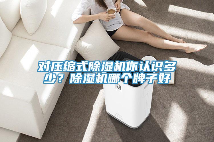 對壓縮式除濕機(jī)你認(rèn)識(shí)多少？除濕機(jī)哪個(gè)牌子好