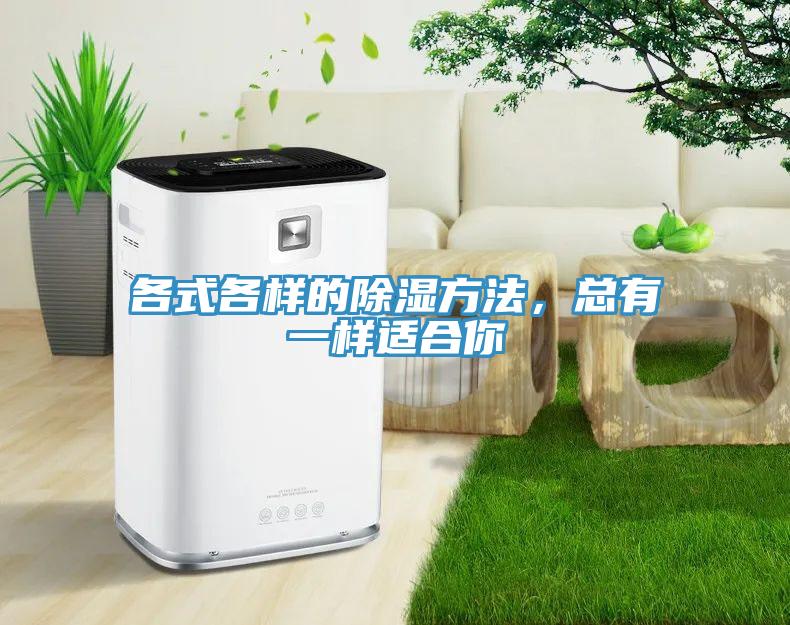 各式各樣的除濕方法，總有一樣適合你