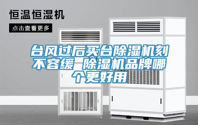 臺(tái)風(fēng)過(guò)后買(mǎi)臺(tái)除濕機(jī)刻不容緩 除濕機(jī)品牌哪個(gè)更好用