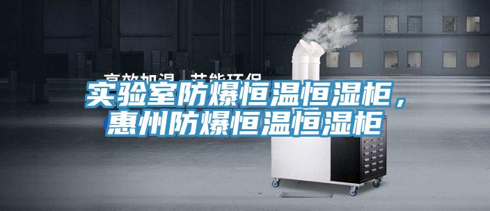 實(shí)驗(yàn)室防爆恒溫恒濕柜，惠州防爆恒溫恒濕柜