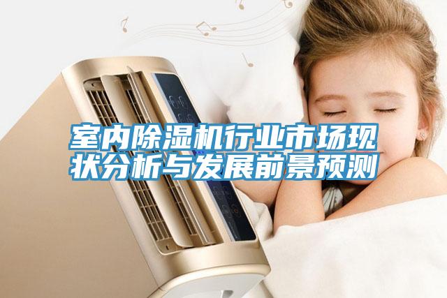 室內(nèi)除濕機(jī)行業(yè)市場現(xiàn)狀分析與發(fā)展前景預(yù)測