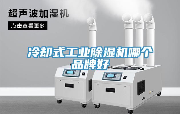 冷卻式工業(yè)除濕機(jī)哪個(gè)品牌好