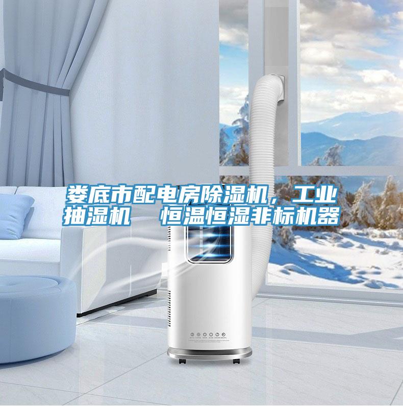 婁底市配電房除濕機(jī)，工業(yè)抽濕機(jī)  恒溫恒濕非標(biāo)機(jī)器