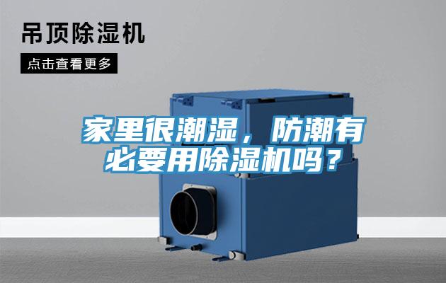 家里很潮濕，防潮有必要用除濕機嗎？