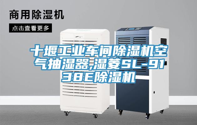 十堰工業(yè)車間除濕機(jī)空氣抽濕器,濕菱SL-9138E除濕機(jī)