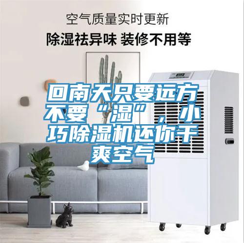 回南天只要遠(yuǎn)方不要“濕”，小巧除濕機(jī)還你干爽空氣