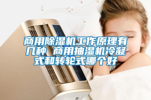 商用除濕機工作原理有幾種 商用抽濕機冷凝式和轉(zhuǎn)輪式哪個好