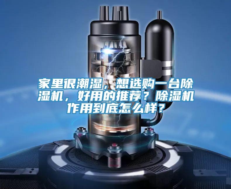 家里很潮濕，想選購一臺除濕機，好用的推薦？除濕機作用到底怎么樣？