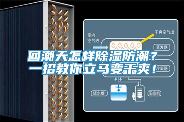 回潮天怎樣除濕防潮？一招教你立馬變干爽！