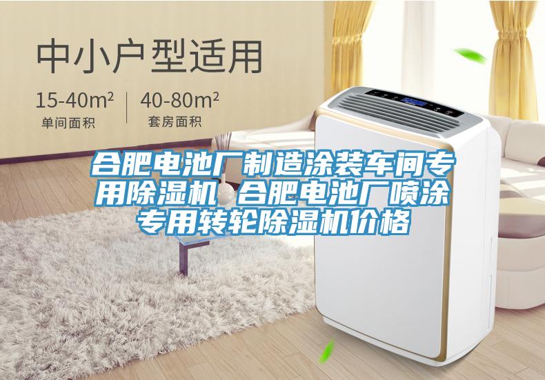 合肥電池廠(chǎng)制造涂裝車(chē)間專(zhuān)用除濕機(jī) 合肥電池廠(chǎng)噴涂專(zhuān)用轉(zhuǎn)輪除濕機(jī)價(jià)格