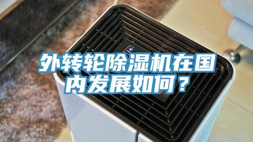 外轉(zhuǎn)輪除濕機(jī)在國(guó)內(nèi)發(fā)展如何？