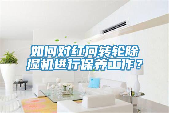 如何對(duì)紅河轉(zhuǎn)輪除濕機(jī)進(jìn)行保養(yǎng)工作？