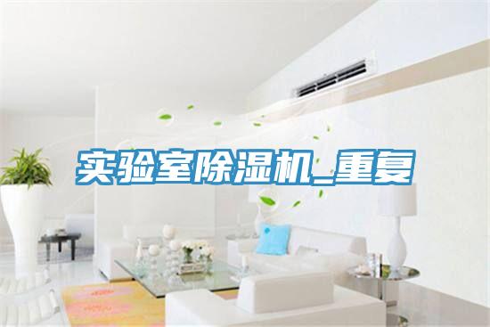 實(shí)驗(yàn)室除濕機(jī)_重復(fù)