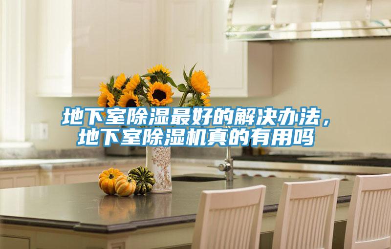 地下室除濕最好的解決辦法，地下室除濕機真的有用嗎