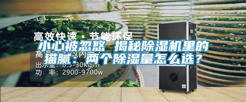 小心被忽悠 揭秘除濕機(jī)里的貓膩：兩個(gè)除濕量怎么選？
