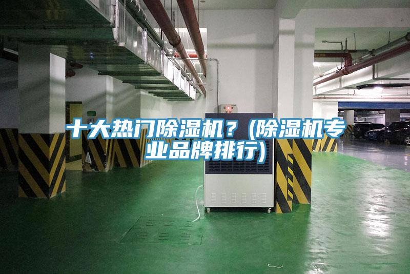 十大熱門除濕機？(除濕機專業(yè)品牌排行)