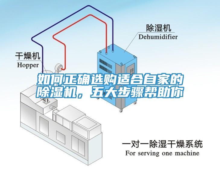如何正確選購(gòu)適合自家的除濕機(jī)，五大步驟幫助你