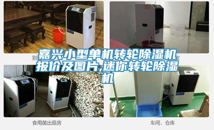 嘉興小型單機轉(zhuǎn)輪除濕機報價及圖片,迷你轉(zhuǎn)輪除濕機