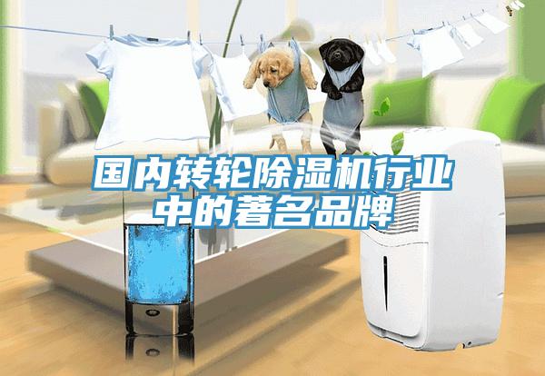 國內(nèi)轉(zhuǎn)輪除濕機(jī)行業(yè)中的著名品牌