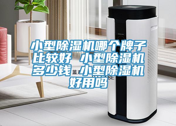 小型除濕機(jī)哪個(gè)牌子比較好 小型除濕機(jī)多少錢 小型除濕機(jī)好用嗎