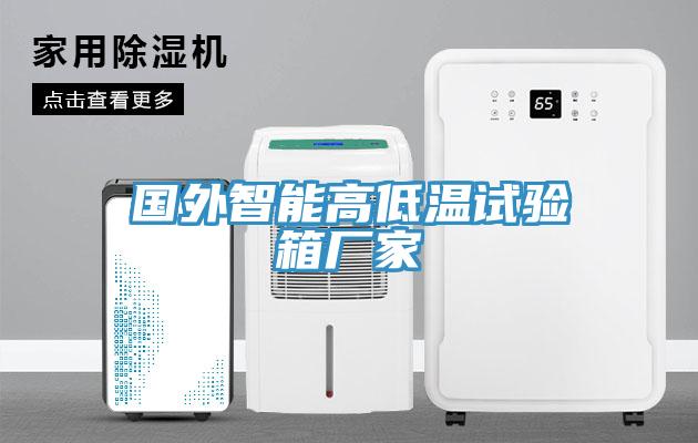 國外智能高低溫試驗(yàn)箱廠家
