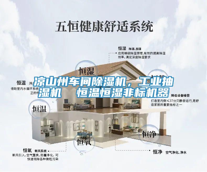 涼山州車間除濕機(jī)，工業(yè)抽濕機(jī)  恒溫恒濕非標(biāo)機(jī)器