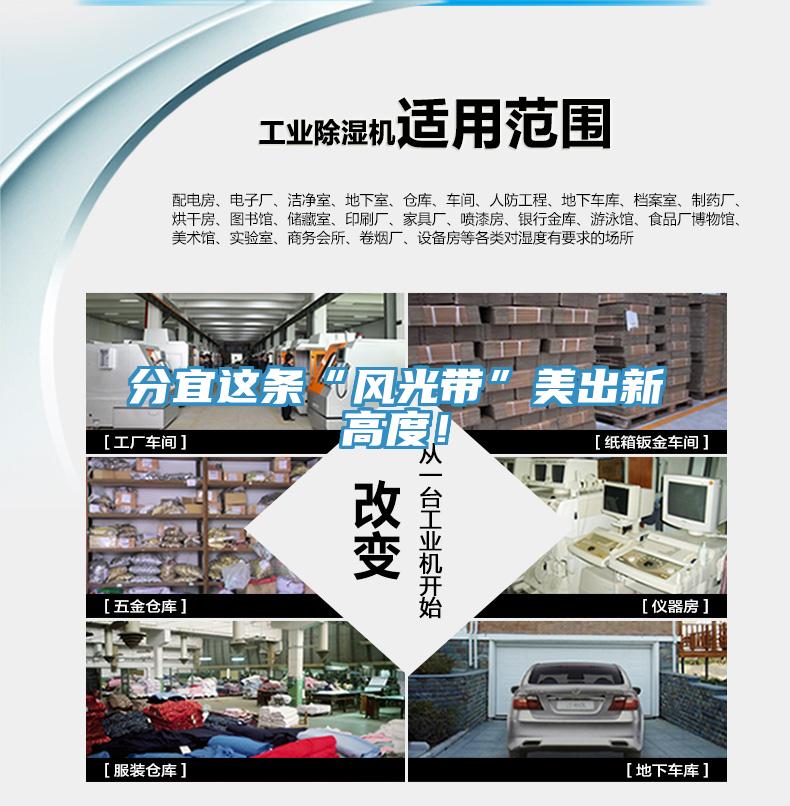 分宜這條“風(fēng)光帶”美出新高度！