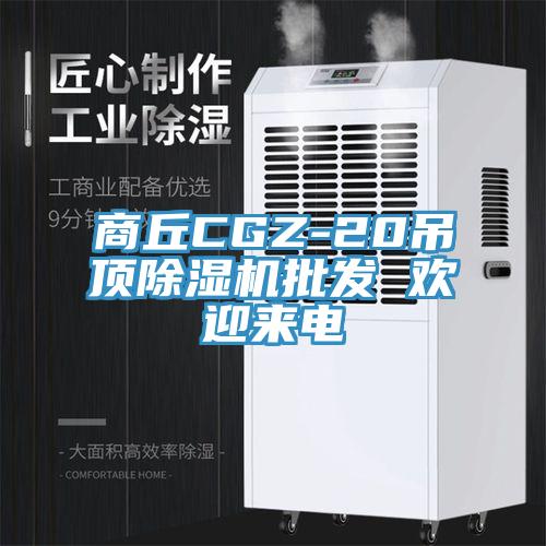 商丘CGZ-20吊頂除濕機(jī)批發(fā) 歡迎來電