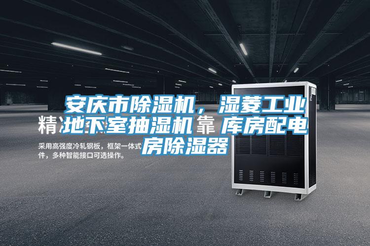 安慶市除濕機(jī)，濕菱工業(yè)地下室抽濕機(jī)  庫房配電房除濕器