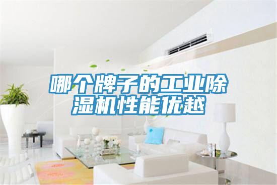 哪個牌子的工業(yè)除濕機性能優(yōu)越
