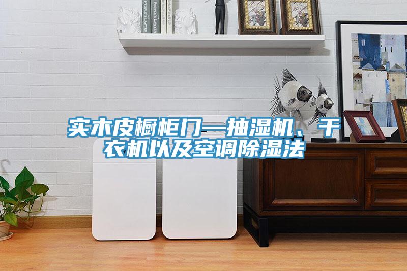 實木皮櫥柜門—抽濕機、干衣機以及空調(diào)除濕法