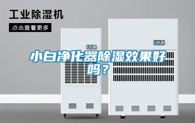 小白凈化器除濕效果好嗎？