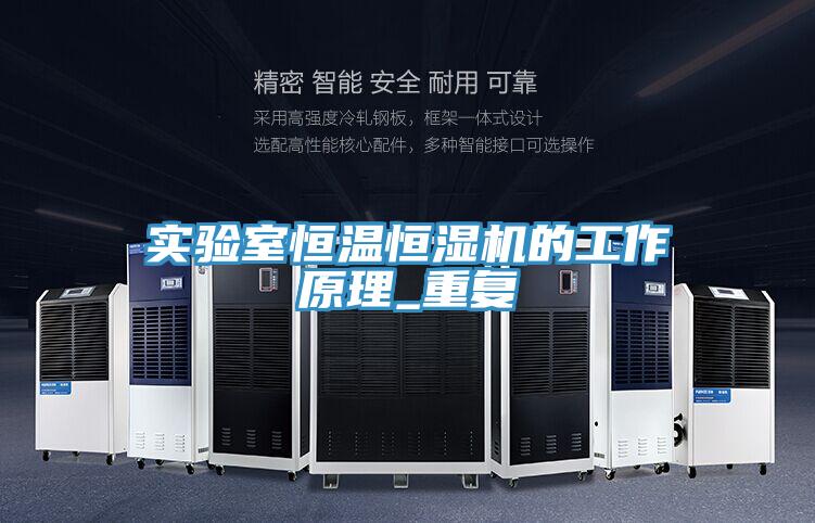 實(shí)驗(yàn)室恒溫恒濕機(jī)的工作原理_重復(fù)