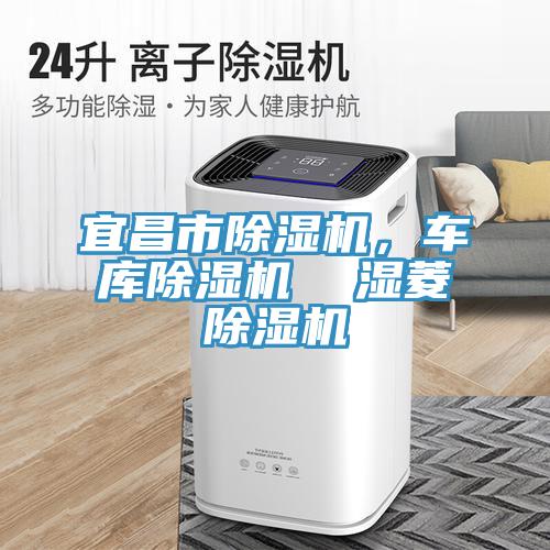 宜昌市除濕機，車庫除濕機  濕菱除濕機