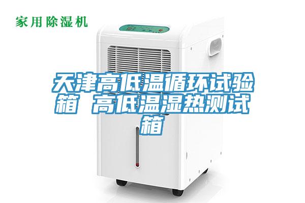 天津高低溫循環(huán)試驗(yàn)箱 高低溫濕熱測(cè)試箱