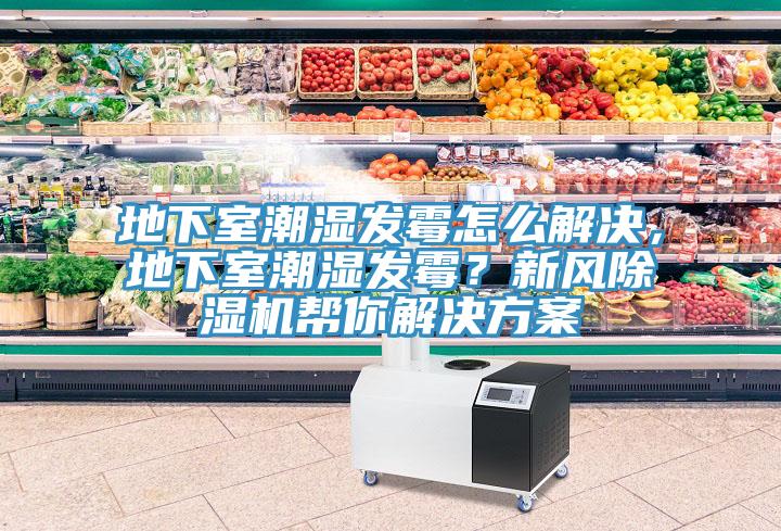 地下室潮濕發(fā)霉怎么解決，地下室潮濕發(fā)霉？新風(fēng)除濕機(jī)幫你解決方案