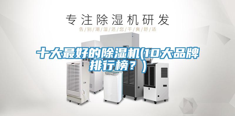 十大最好的除濕機(10大品牌排行榜？)