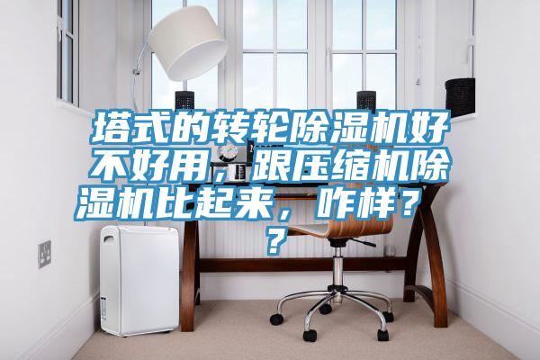 塔式的轉(zhuǎn)輪除濕機(jī)好不好用，跟壓縮機(jī)除濕機(jī)比起來(lái)，咋樣？ ？