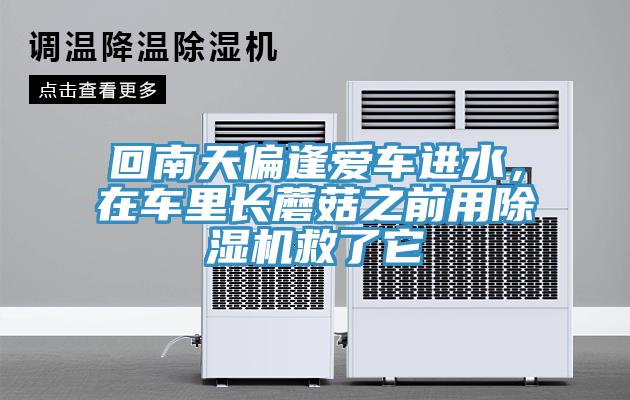 回南天偏逢愛車進(jìn)水，在車?yán)镩L蘑菇之前用除濕機(jī)救了它