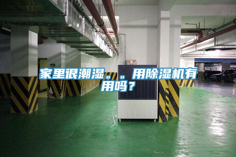 家里很潮濕。。用除濕機有用嗎？