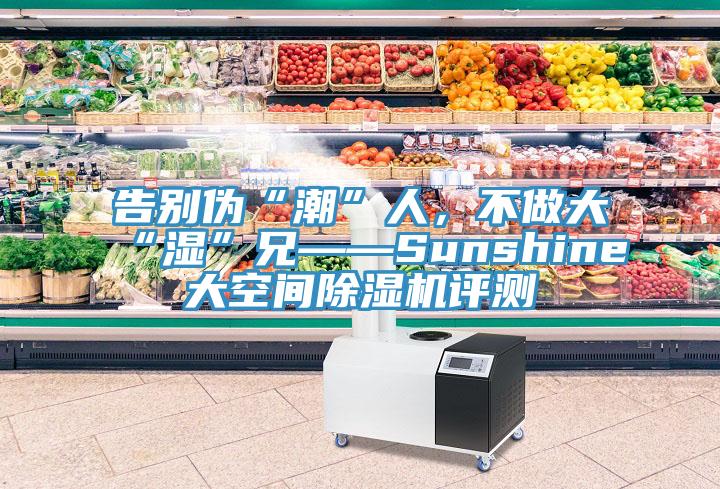 告別偽“潮”人，不做大“濕”兄——Sunshine大空間除濕機(jī)評測