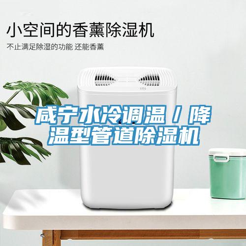 咸寧水冷調(diào)溫／降溫型管道除濕機