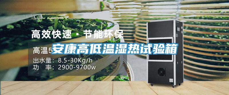 安康高低溫濕熱試驗(yàn)箱