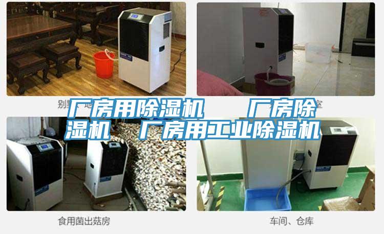廠房用除濕機   廠房除濕機  廠房用工業(yè)除濕機